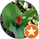 Sz Gosia profile picture